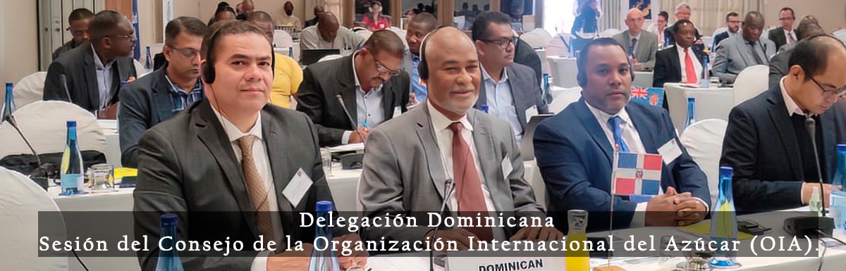 delegacion-dominicanca.jpeg