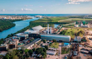 Consorcio CAEI Produjo Más de 155 mil Toneladas de Azúcar, un 7 % Más que el Año Anterior